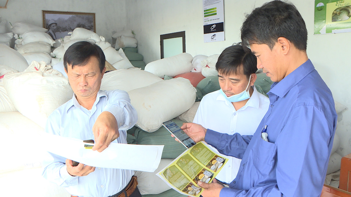 Gạo Chợ Gốc Thái Bình được người tiêu dùng trong nước đón nhận.