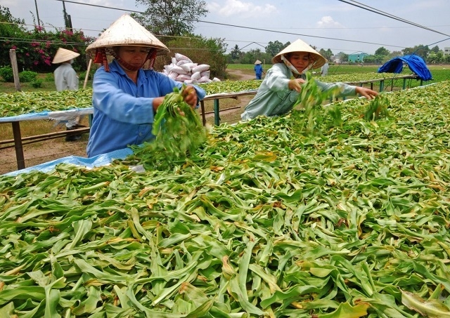 Nhiều mô hình HTX ở Hà Nội đã và đang chú trọng ứng dụng công nghệ, sản xuất hữu cơ nhằm nâng cao đời sống thành viên.