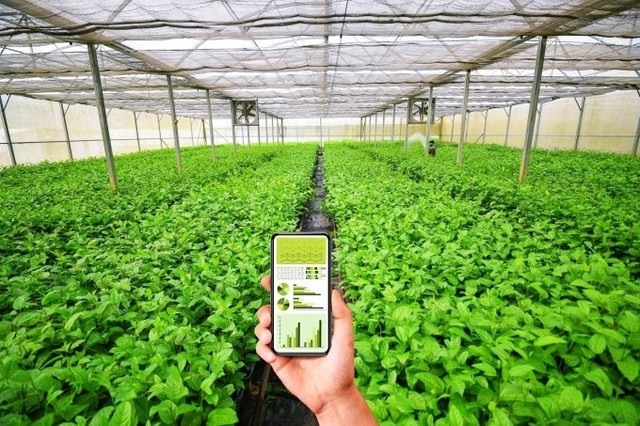 Chuyển đổi số sẽ giúp các HTX rộng cửa để quảng bá, giới thiệu, tìm kiếm thị trường cho sản phẩm.