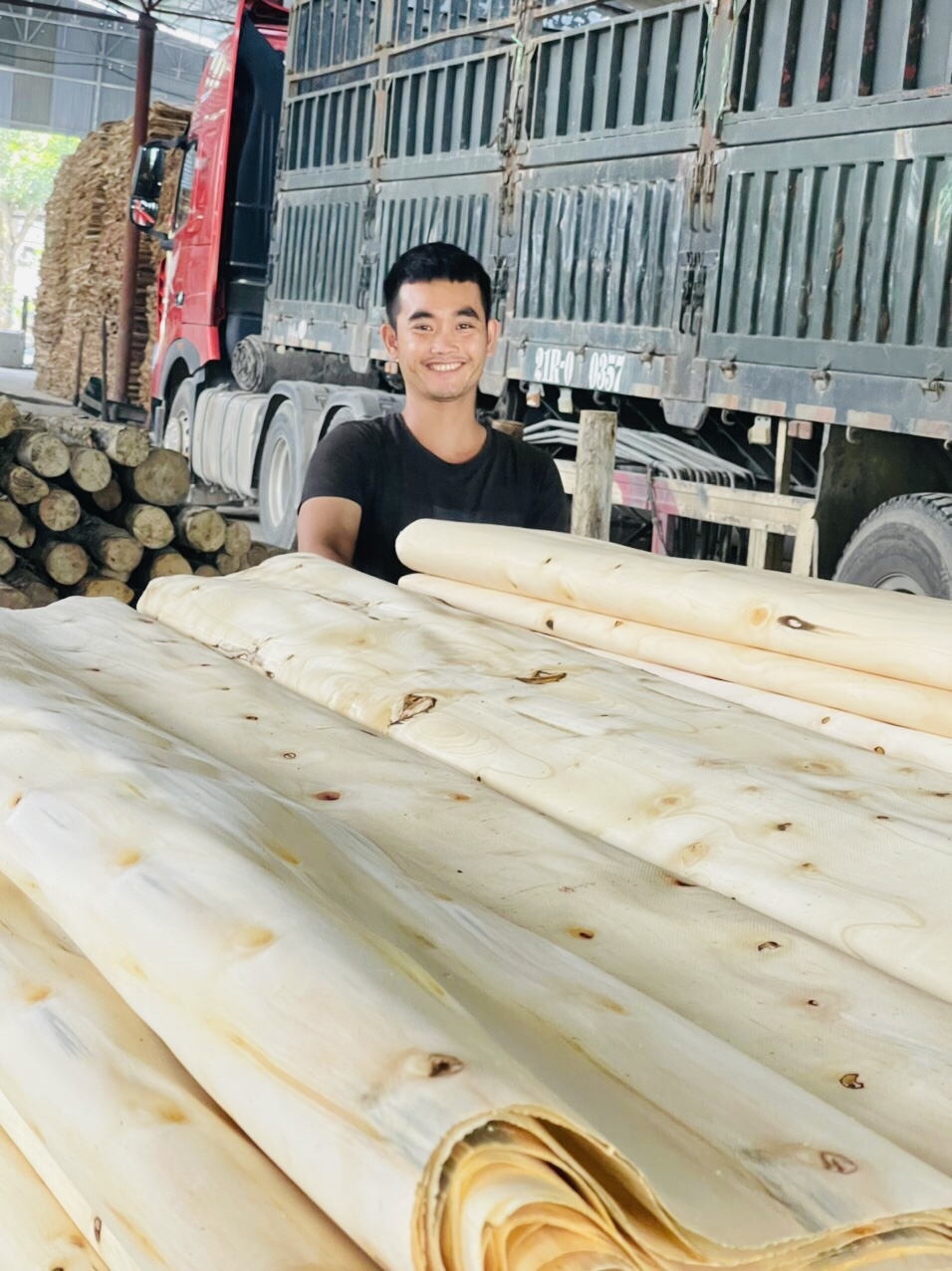 Hoạt động sản xuất gỗ rừng trồng của HTX Thanh Yên.