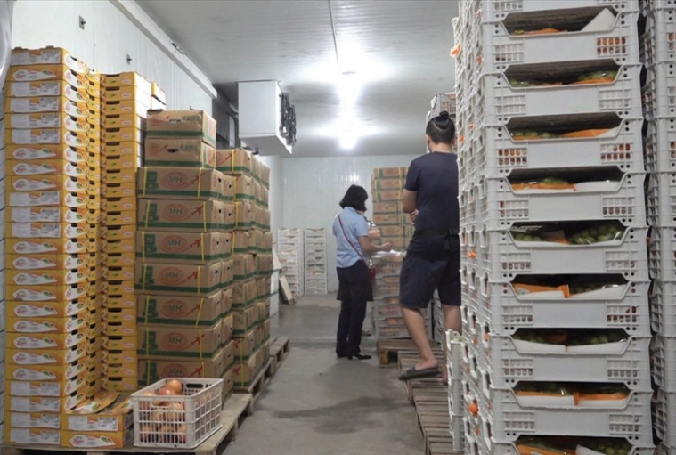 Lực lượng quản lý thị trường Hà Nội tăng cường kiểm tra mặt hàng hoa quả nhập khẩu.