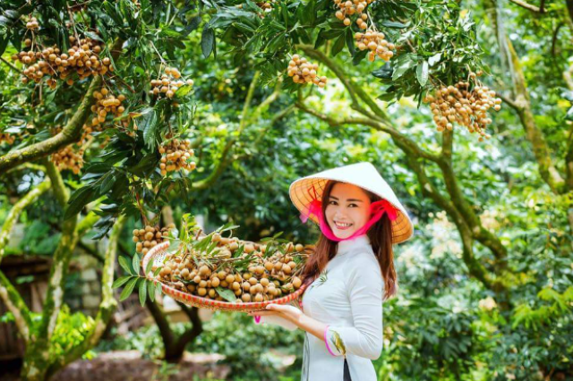 Hưng Yên đẩy mạnh chuyển đổi sản xuất nông nghiệp để tạo vùng nguyên liệu cho các sản phẩm OCOP (Ảnh: Int)