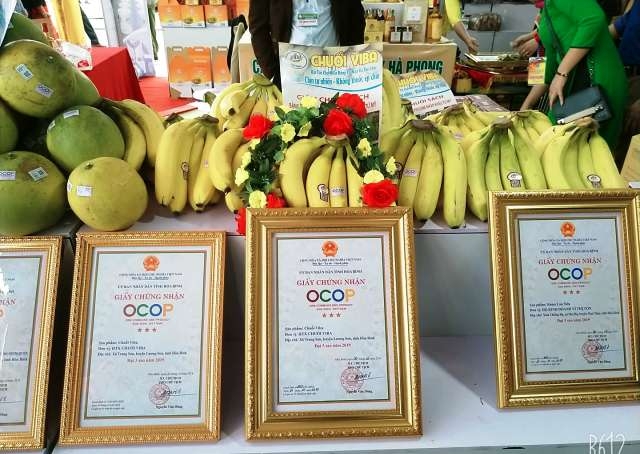 Sản phẩm Chuối Viba đạt chứng nhận OCOP 3 sao của HTX Chuối Viba