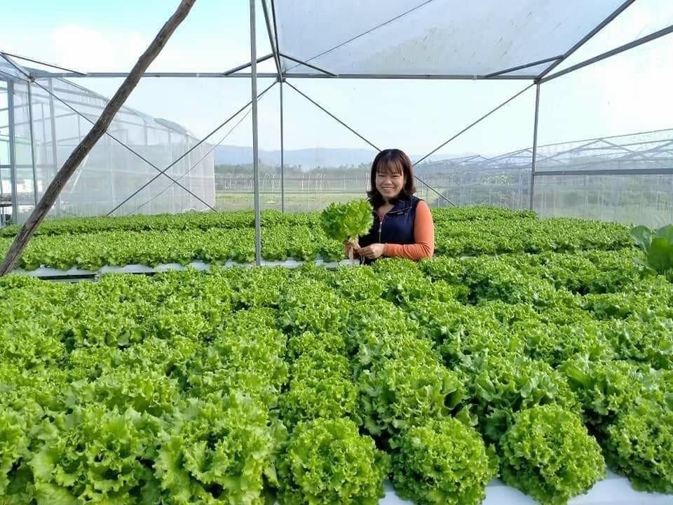 Sản xuất rau an toàn đã khó, đưa rau an toàn đến tay người tiêu dùng còn khó hơn.