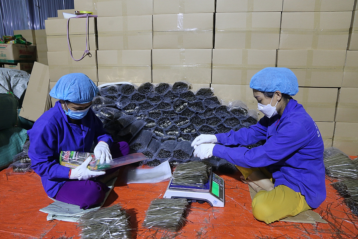 Sản phẩm của HTX Tài Hoan đang góp phần đưa sản phẩm OCOP của Bắc Kạn đi nhiều thị trường trong và ngoài nước.