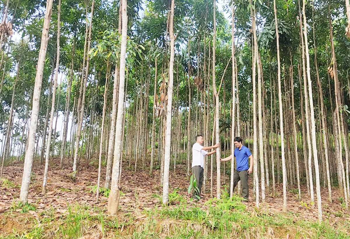 Phát triển nông nghiệp hàng hóa là tất yếu để làm giàu bền vững cho người dân tại các địa phương (Ảnh: BLC).