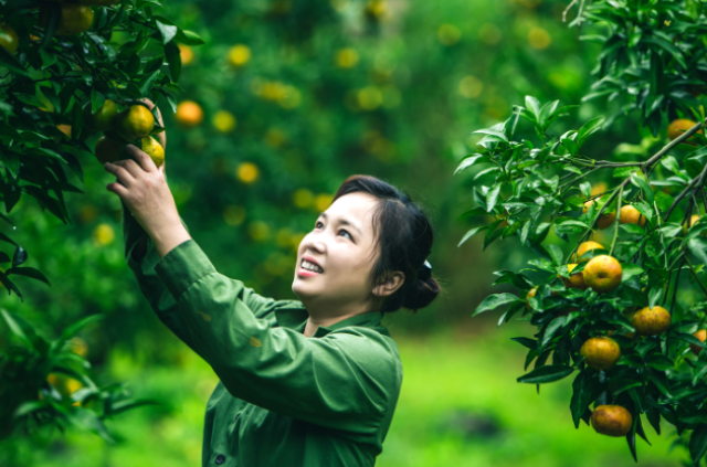 Chương trình xây dựng nông thôn mới huyện Bắc Sơn gắn liền với việc phát triển sản xuất và đổi mới các hình thức sản xuất (Ảnh: Int)