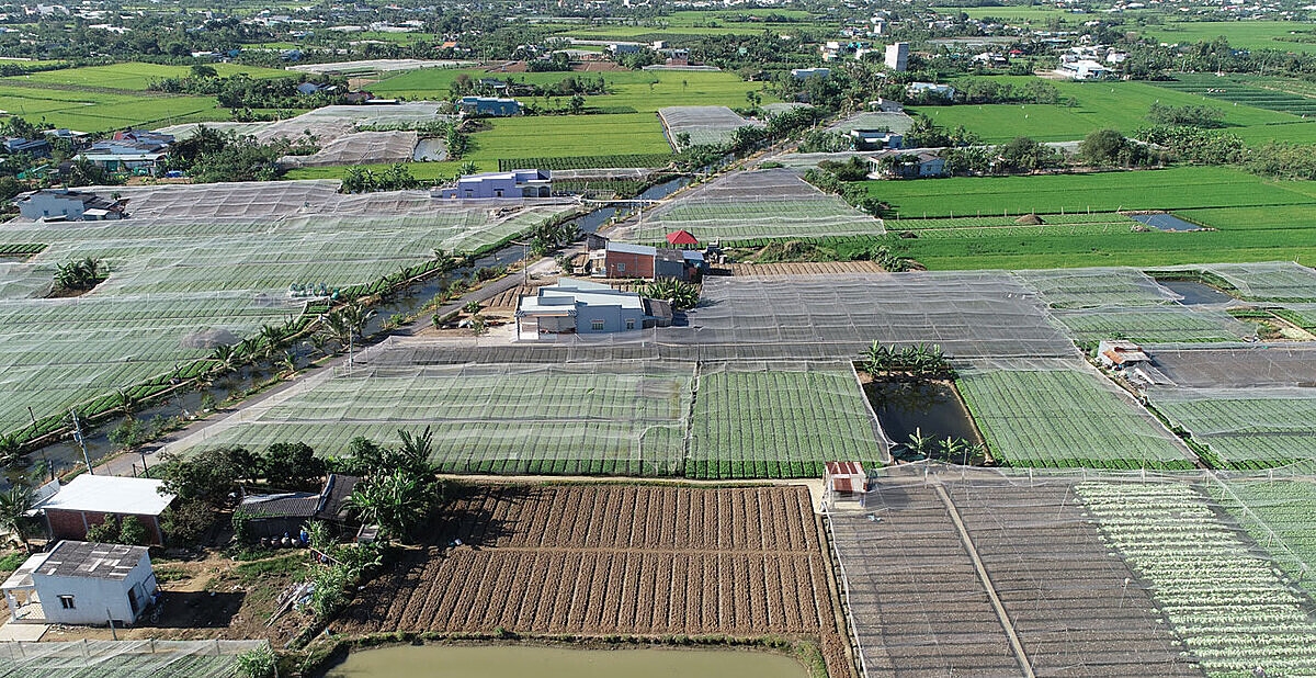 HTX đang góp phần thúc đẩy kinh tế nông thôn ở Tiền Giang.