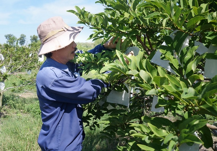 Tỉnh Tây Ninh phấn đấu năm 2030 tăng thu nhập của cư dân nông thôn cao hơn 2,5 lần so với năm 2020.