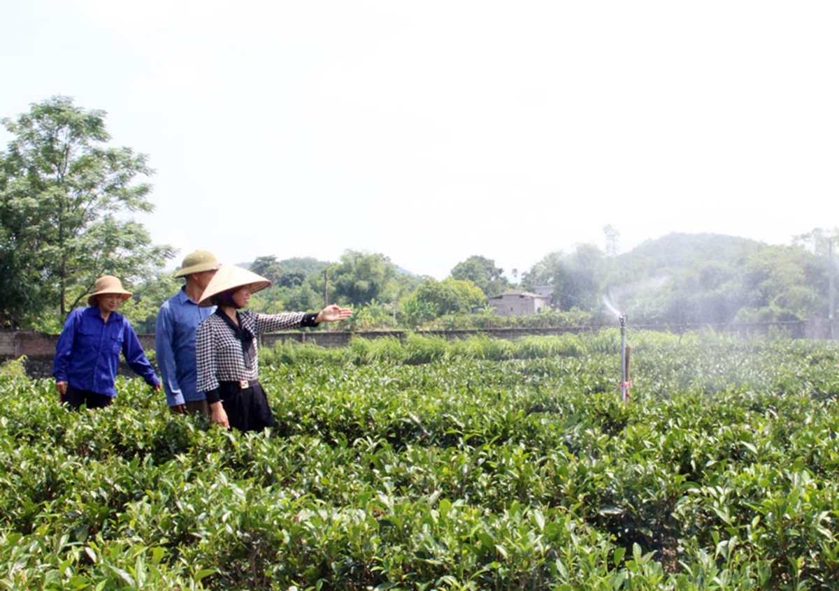 Dạy nghề theo thế mạnh địa phương giúp đảm bảo tỷ lệ có việc làm cao của học viên sau đào tạo.