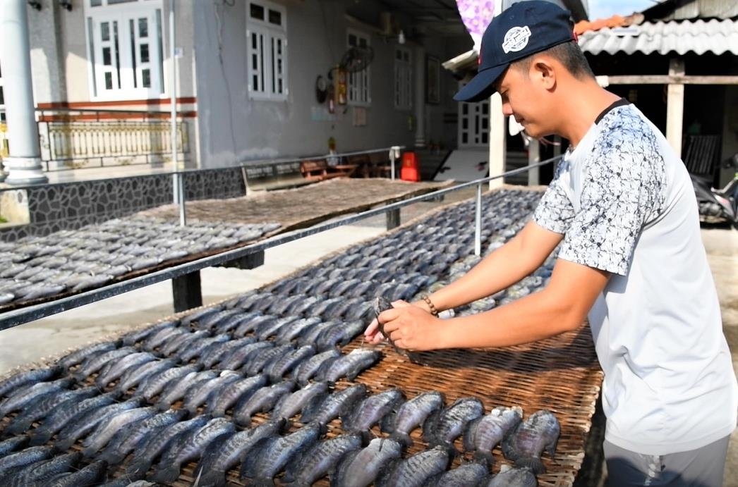 Cà Mau đã và đang đẩy mạnh việc củng cố và phát triển các loại hình kinh tế tập thể. (Ảnh: Int)