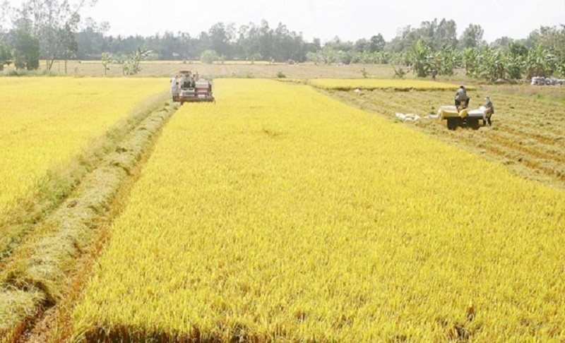 Hầu hết các HTX trên địa bàn tỉnh góp phần đảm bảo hoàn thành tiêu chí số 13 trong bộ tiêu chí xây dựng NTM và tham gia hoàn thành các tiêu chí khác của địa phương.