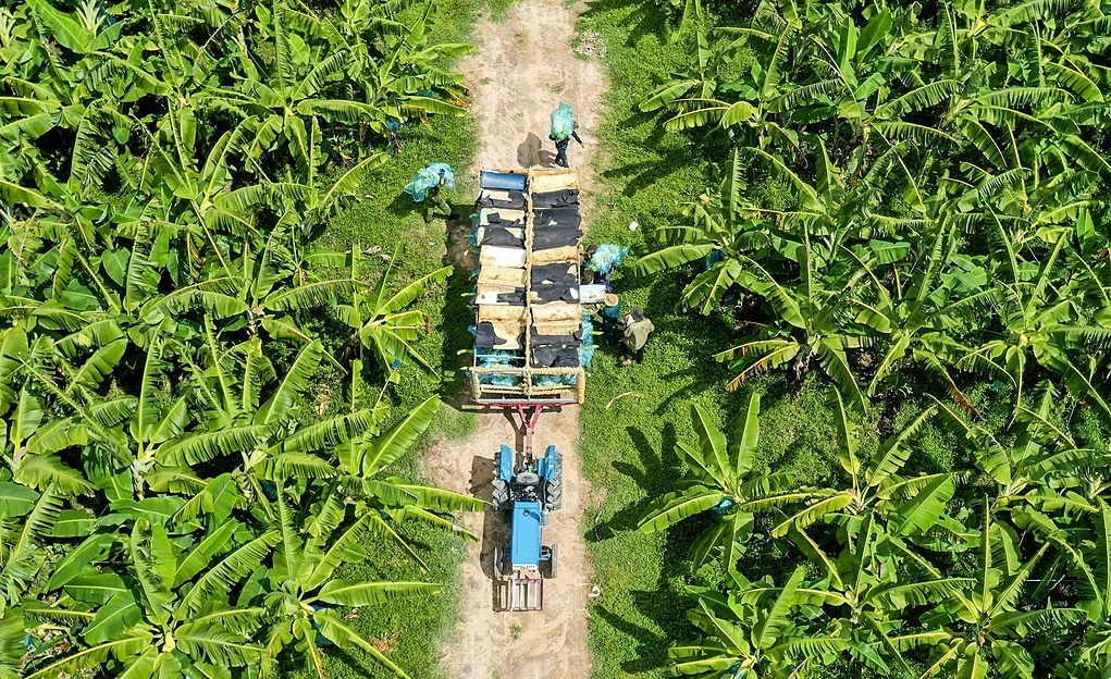 HTX, doanh nghiệp đẩy mạnh liên kết vùng sẽ thúc đẩy tăng trưởng kinh tế nhanh, xanh và theo hướng hiện đại.