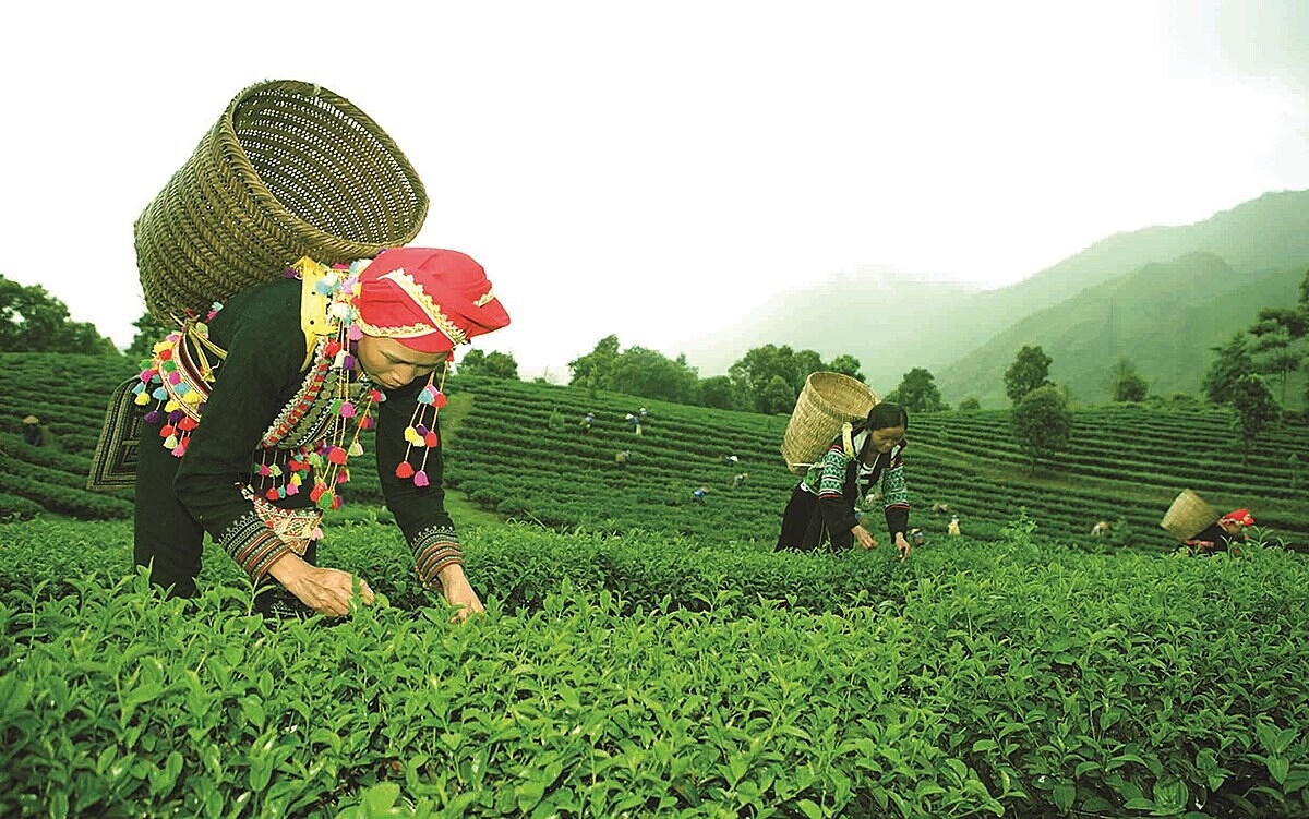Các địa phương ở Yên Bái đang có những điều chỉnh và cố gắng nhiều hơn trong quá trình xây dựng nông thôn mới.