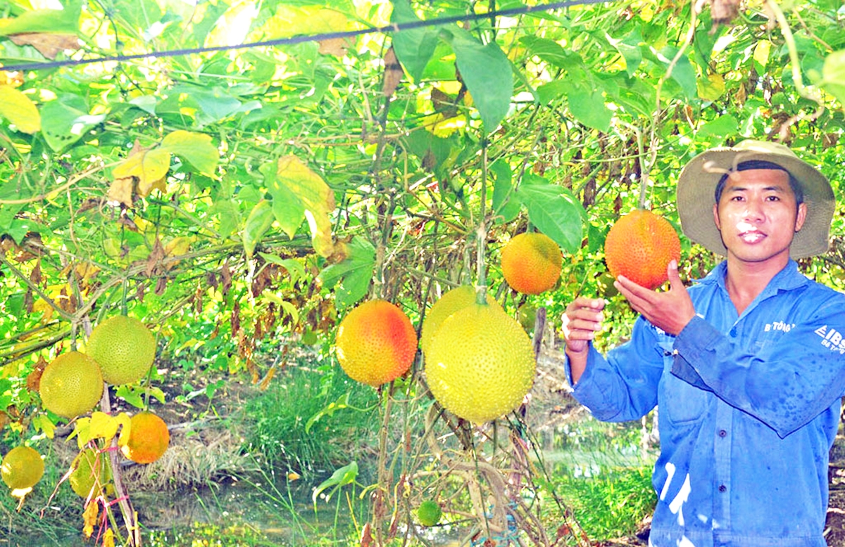 Được đào tạo nghề, nắm chắc kỹ năng giúp lao động nông thôn tự tin thoát nghèo, làm giàu (Ảnh: BLA).