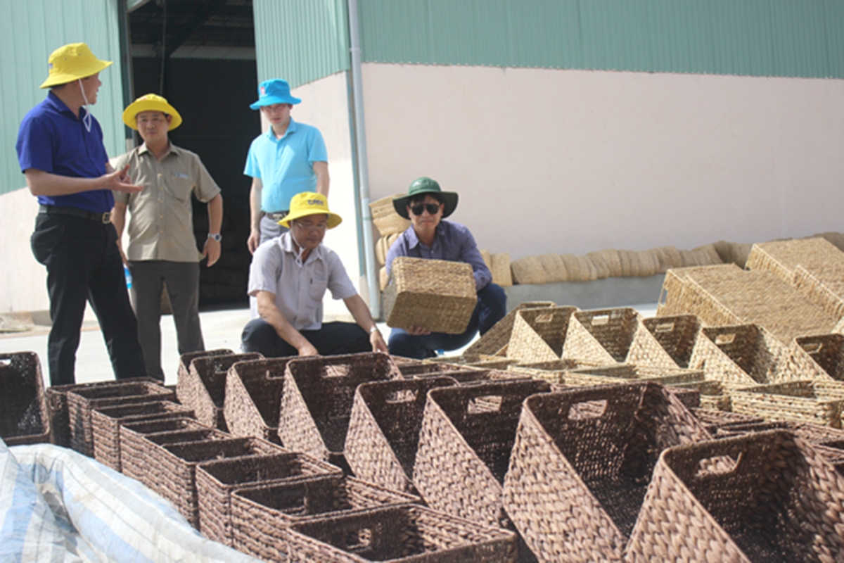 Hiệu quả trong sản xuất, kinh doanh của khu vực KTTT, HTX