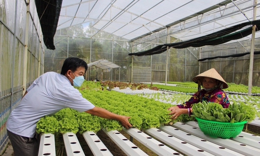 Các HTX nông nghiệp của tỉnh Hậu Giang bắt nhịp chuyển đổi số để xây dựng nông thôn mới.