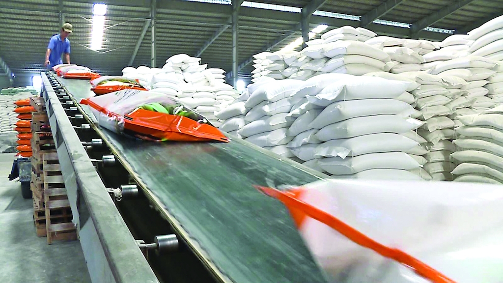 Việc tỷ giá USD tăng và giá lương thực trên thế giới tăng đang giúp cho các nhà xuất khẩu gạo cải thiện biên lợi nhuận.