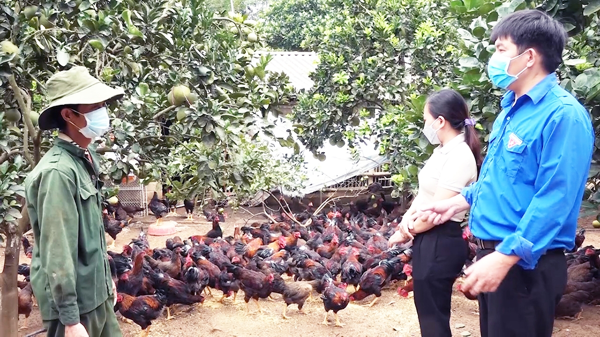 Công tác dạy nghề cho lao động nông thôn đang được nhiều địa phương quan tâm, mang lại hiệu quả cao.