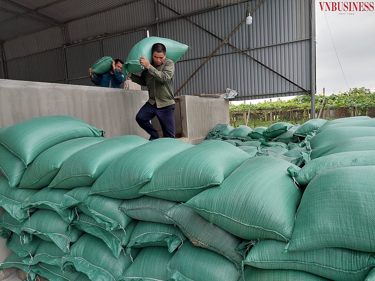 HTX Quang Phục hiện có 3 lò sấy với công suất lên đến 60 tấn/ngày/đêm giúp bảo quản tốt 1000 tấn lúa giống và lúa thương phẩm mỗi năm.