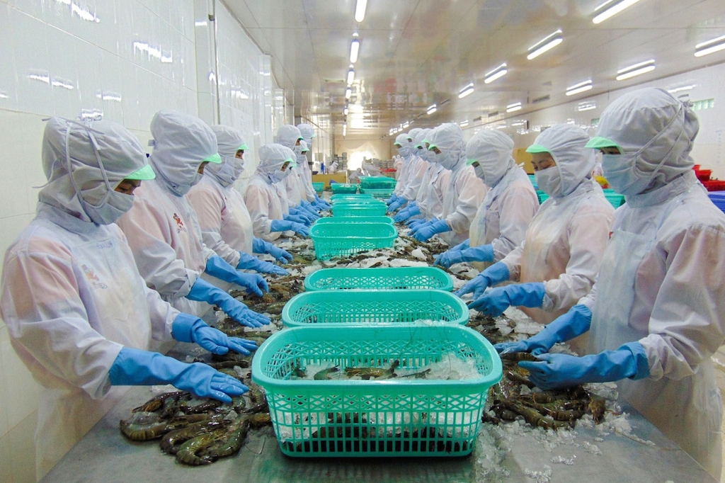 Nhiều loại chi phí tăng cao khiến cho việc tìm kiếm lợi nhuận của các DN ngành tôm Việt trở nên khó khăn hơn.