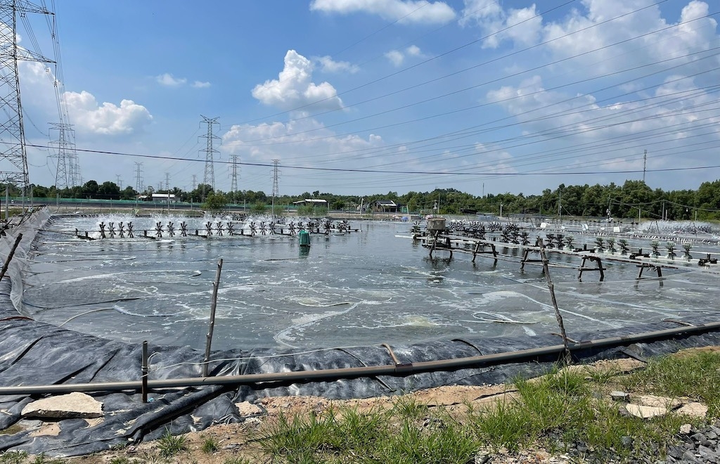 Ngành nuôi tôm tại các khu vực Đồng bằng sông Cửu Long đang ứng dụng Giải pháp AIoT (sự kết hợp giữa công nghệ trí tuệ nhân tạo với hạ tầng vạn vật kết nối) toàn diện.