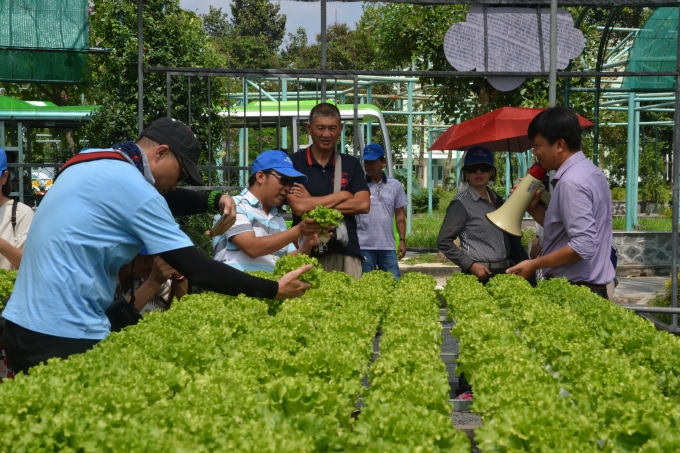 Du lịch nông nghiệp ở mảnh đất trăm nghề đang phát huy thế mạnh của các địa phương.
