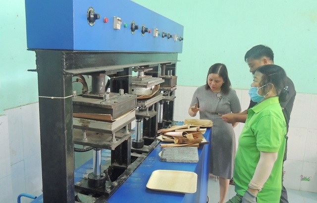 Nhiều HTX đã áp dụng công nghệ vào sản xuất, bảo vệ môi trường, gắn với mục tiêu giảm nghèo bền vững.