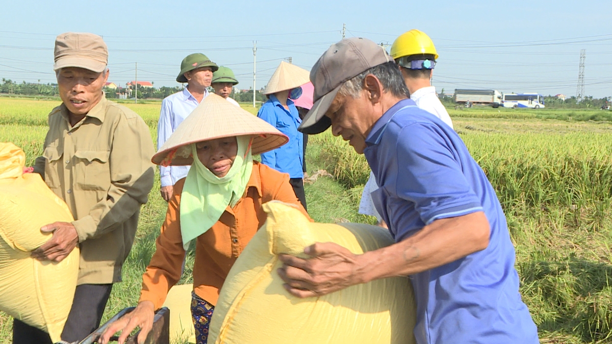 HTX đóng vai trò bà đỡ cho nông dân, đẩy mạnh xây dựng nông thôn mới.