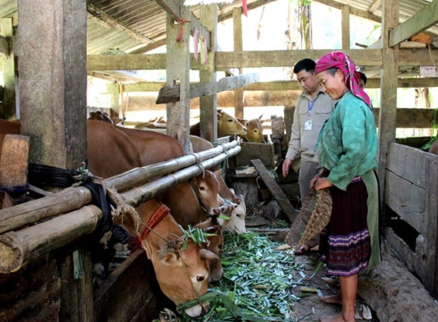 HTX đã giúp sản xuất nông nghiệp có điều kiện phát triển, mang lại nhiều lợi ích cho người nông dân.