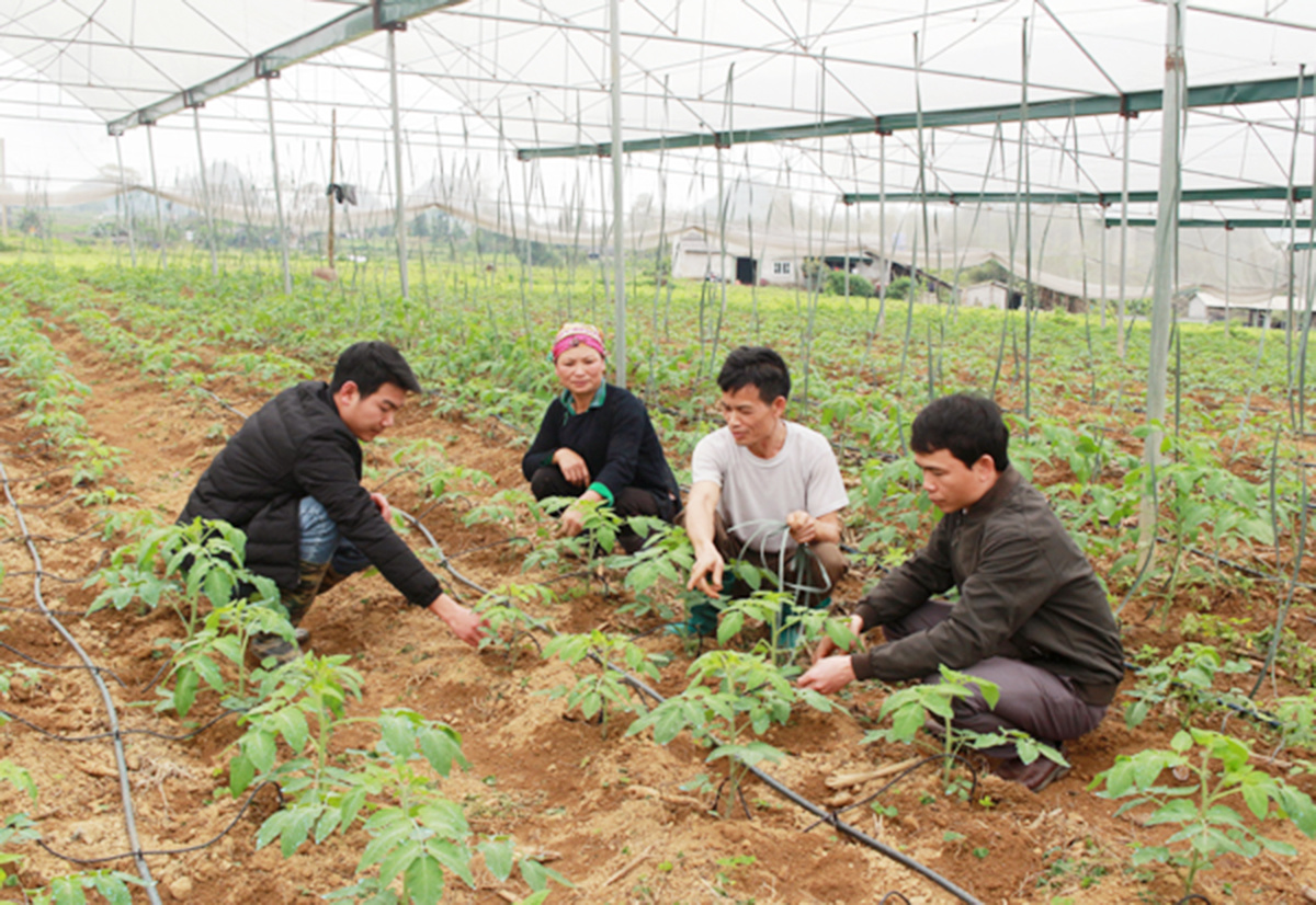 Đổi mới tư duy sản xuất là điểm tựa để người dân tại các địa phương vươn lên thoát nghèo, làm giàu.