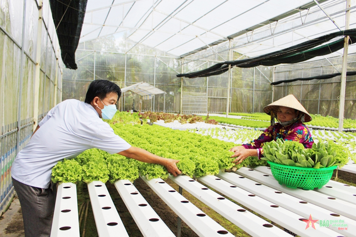 Các chính sách thúc đẩy sản xuất nhằm xóa đói giảm nghèo tại Hậu Giang đang có thành công tích cực.