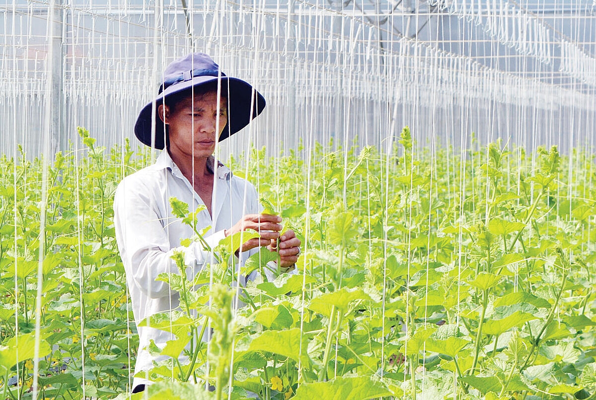 Đầu tư cho nông nghiệp vẫn là mục tiêu cốt lõi của người dân, thành viên HTX.