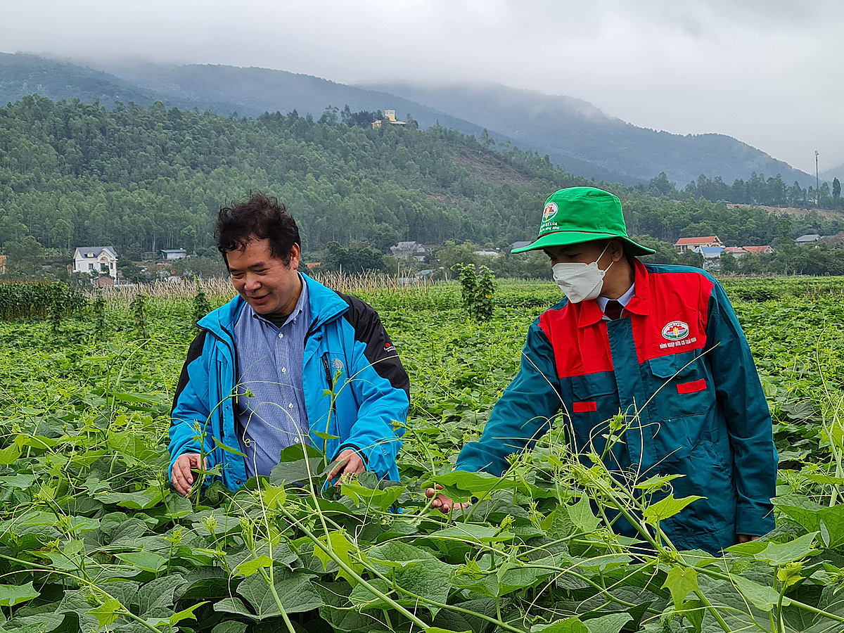 Hình thành những vùng hàng hóa tập trung dựa vào thế mạnh của địa phương giúp người dân nâng cao thu nhập, giảm nghèo bền vững.