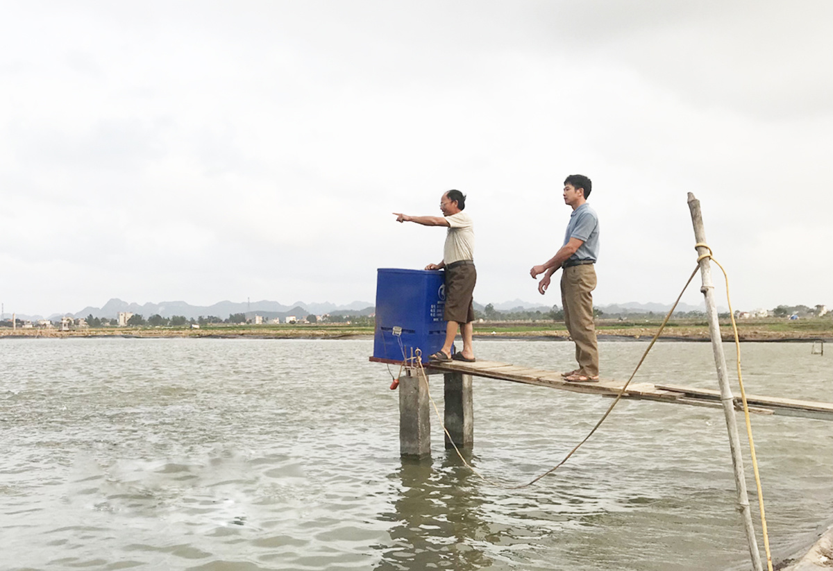 Việc liên kết cùng sản xuất, nuôi trồng thủy sản trong HTX đang giúp nhiều nông dân làm giàu.