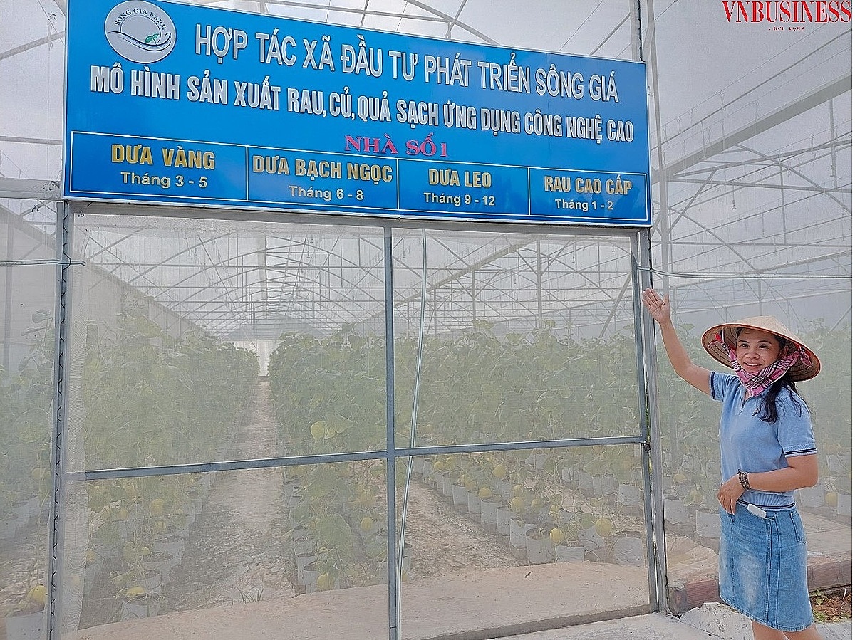 Dù mới khởi nghiệp được hơn 1 năm nhưng HTX Đầu tư phát triển Sông Giá đã trở thành một trong những mô hình sản xuất theo chuỗi giá trị hiệu quả tại Hải Phòng.