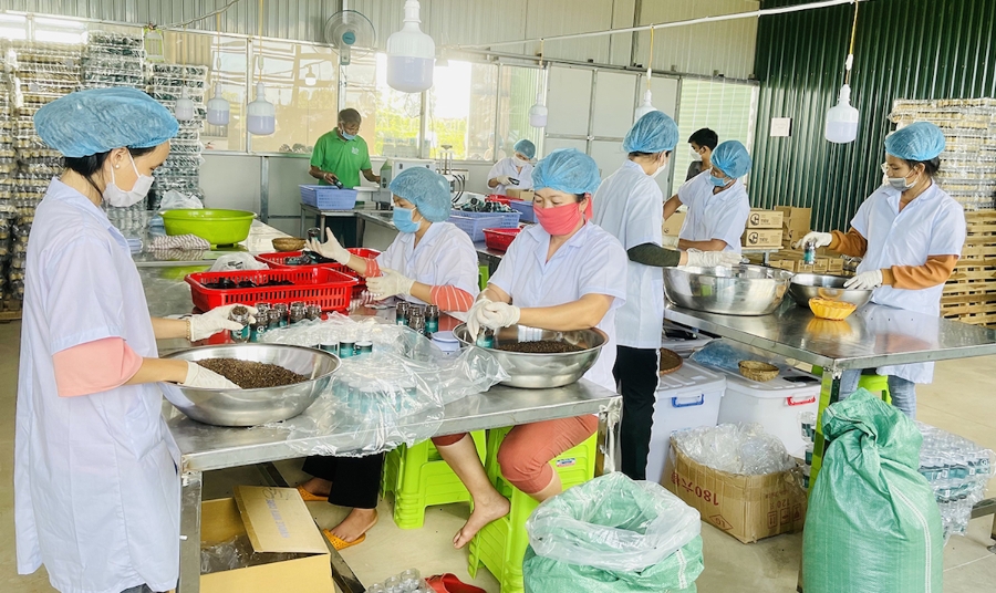 Nhiều lao động trong khu vực HTX vẫn chưa được đóng BHXH.