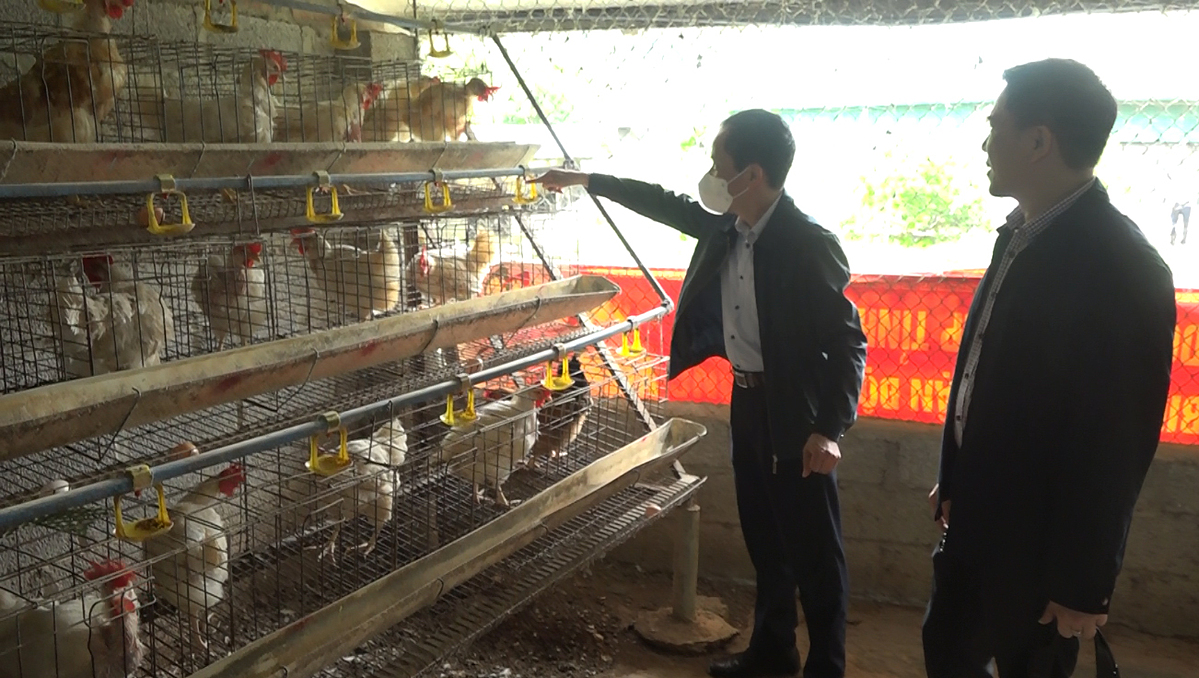 Xác định kinh tế tập thể là nòng cốt trong Chương trình tái cơ cấu sản xuất nông nghiệp gắn với xây dựng NTM, huyện Hà Quảng đã tập trung nguồn lực phát triển tổ hợp tác, HTX. (Ảnh: Int)