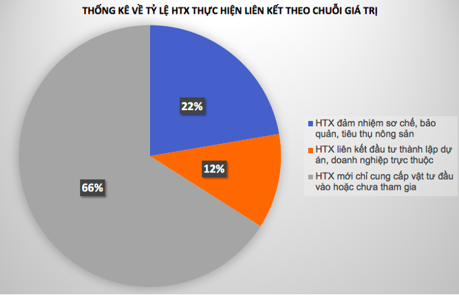 Số lượng HTX nông nghiệp mới chỉ tham gia khâu cung ứng vật tư đầu vào hoặc chưa tham gia vào chuỗi giá trị vẫn chiếm tỷ lệ lớn.