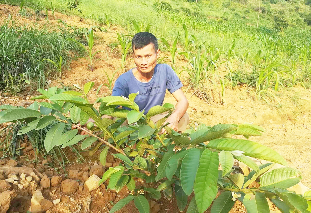 Việc phát huy các sản phẩm thế mạnh là chìa khóa xóa đói, giảm nghèo tại các địa phương.