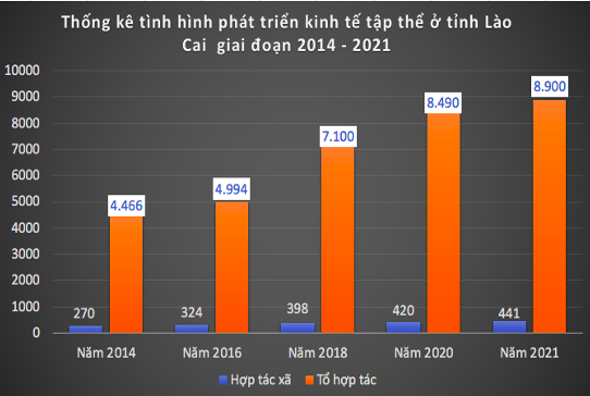 Thống kê tình hình phát triển kinh tế tập thể, hợp tác xã ở Lào Cai (Tác giả tổng hợp từ báo cáo kinh tế - xã hội của UBND tỉnh Lào Cai).