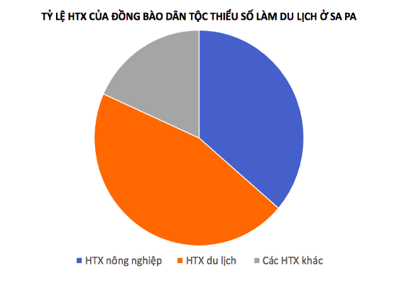 HTX làm du lịch ở Sa Pa chiếm tỷ lệ khá cao.