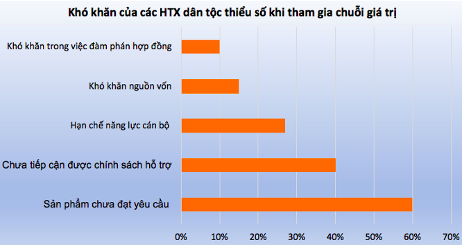 Sản phẩm nông sản đạt theo yêu cầu của doanh nghiệp là một trong những thách thức khi HTX của đồng bào dân tộc thiểu số tham gia vào chuỗi giá trị.