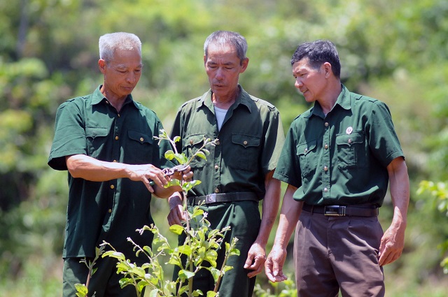 Sản phẩm OCOP - hướng làm giàu của cựu chiến binh vùng cao