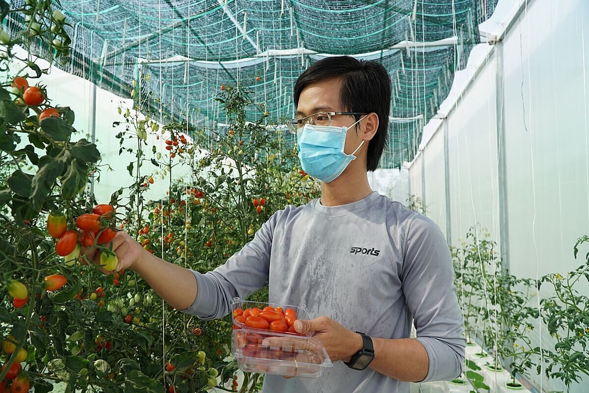 Quỹ Hỗ trợ phát triển Hợp tác xã đang tháo gỡ khó khăn về vốn cho nhiều HTX.