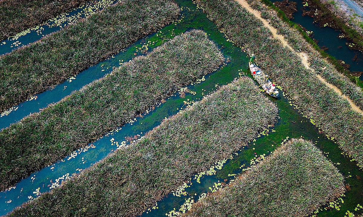 Chính sách đất đang đang là điểm nghẽn đối với các HTX.