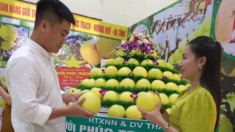 Nhờ trồng bưởi Phúc Trạch, đời sống của các thành viên HTX, THT tại huyện Hương Khê ngày càng được nâng cao.