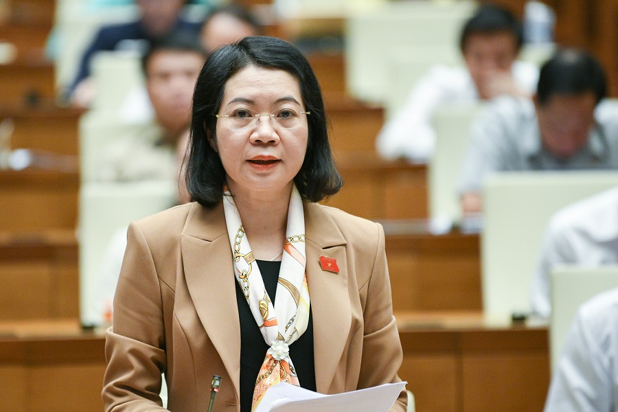 Đại biểu Mai Thị Phương Hoa - Đoàn ĐBQH tỉnh Nam Định.