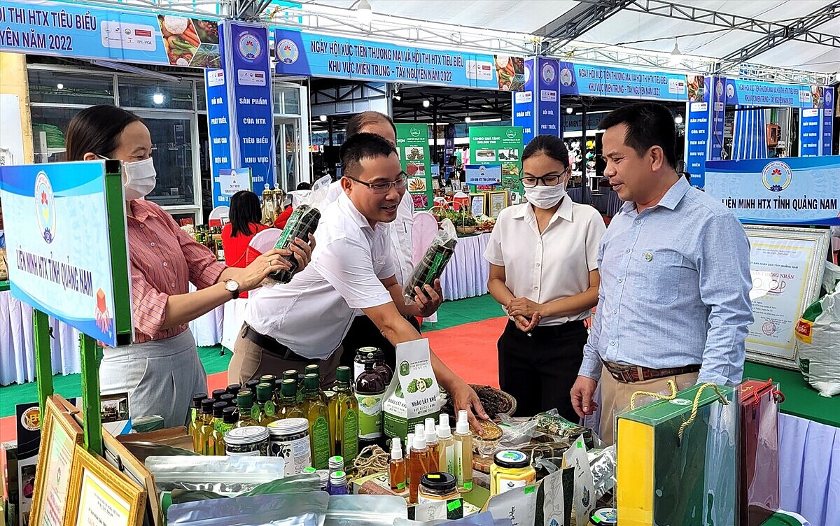 Các sản phẩm chủ lực, độc đáo của không ít HTX thu hút sự quan tâm của nhà phân phối, người tiêu dùng khi tham gia hội chợ xúc tiến thương mại.