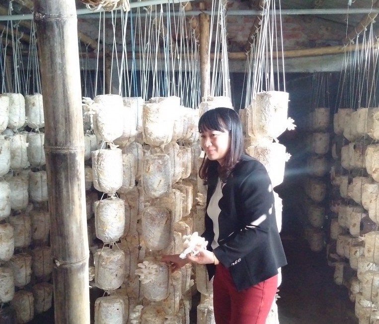 HTX Sản xuất Kinh doanh Dịch vụ Nông nghiệp xã Quang Phục trở thành điểm sáng của Hải Phòng trong tiến trình xây dựng Nông thôn mới tại huyện Tiên Lãng.